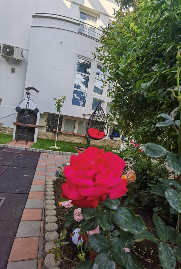 Fitness House With Garden Constança Exterior foto
